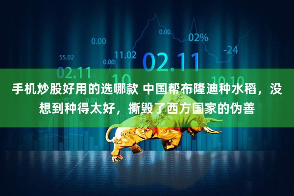 手机炒股好用的选哪款 中国帮布隆迪种水稻，没想到种得太好，撕毁了西方国家的伪善