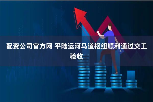 配资公司官方网 平陆运河马道枢纽顺利通过交工验收